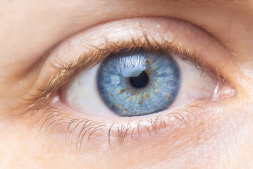 Beautiful blue color woman eye macro .