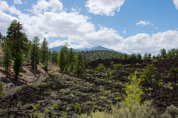 The Bonito Lava Fields at Sunset Crater Volcano National Monument with the San Francisco Peaks in the background