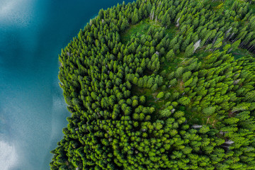 Aerial view of a forest lake. Aerial view of blue lake and green forests on a sunny summer day. Drone photography. Forest and lake border, Toned image from above. Coastline view from the drone.