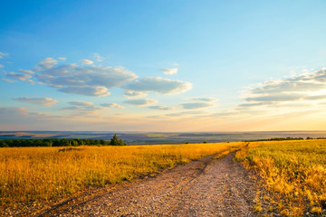 Fototapeta na wymiar Nature and tourism in Russia in the Saratov region. Landscape with a meadow of golden yellow color against the background of the morning blue sky with clouds and the road into the distance in good sun