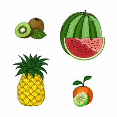 Hand drawn set of fruits. Healthy vegetarian food. Isolated objects on white background. Elements for design.