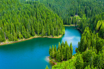 Mountain forest lake landscape. Aerial view. View on the turquoise color lake between mountain forest. Over beautiful turquoise mountain lake and green forest. National park. Green pine and fir trees