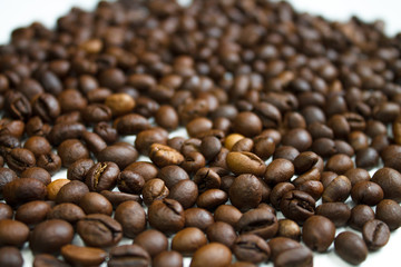 coffee beans brown on white isolated background with close-up location with blurred background