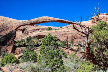 natural rock bridge in Bridges national park