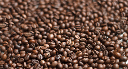 coffee beans brown close-up with blurred background