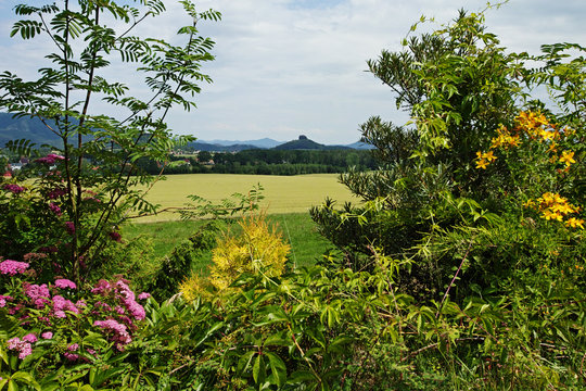 view over the fields to Zirkelstein rock