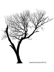 Dead Tree without Leaves Vector Illustration Sketched, EPS 10.