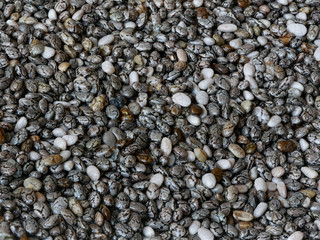 Close-up of Chia Seeds, Salvia hispanica, Food Background