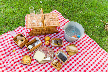 Great concept of pic-nic, pic-nic with fruits and juice on green lawn with beautiful view