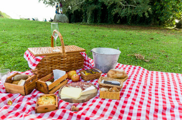 Great concept of pic-nic, pic-nic with fruits and juice on green lawn with beautiful view