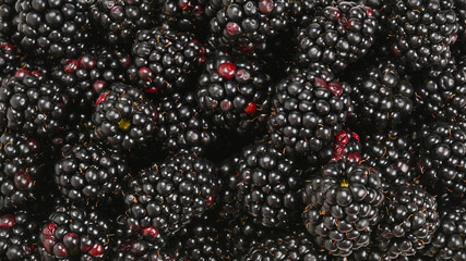 Backberry as a background.  Top view,