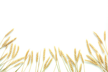 RYE isalated. white background. rustic. 