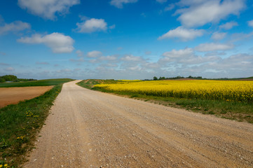 Obraz premium Gravel country road through farm fields