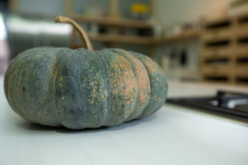 Close up  Thai Pumpkin. (Selective Focus)
