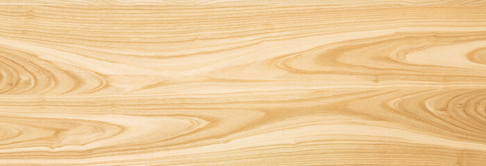 Ash wood texture. The background of the wood of hardwood_