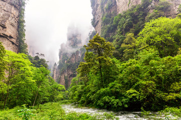 Zhangjiajie National forest park. Famous tourist attraction in Wulingyuan, Hunan, China. Amazing...