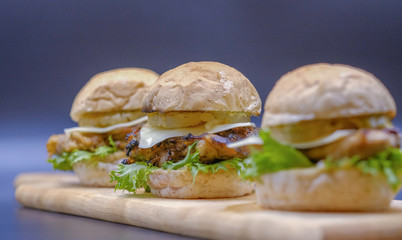 close up homemade  hamburger. (selective focus)