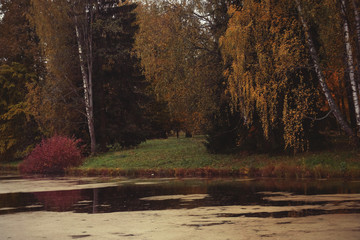 Lake in the autumn park. Autumn beauty.