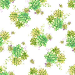 Vintage realistic seamless pattern with green realistic succulent pattern seamless on colorful background for cover design. Colorful seamless mexican style pattern.