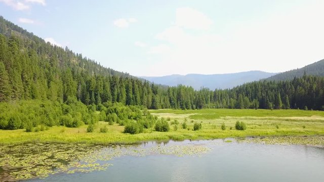 green field of grass by the lake. bird-eye view, going upward, aerial(drone) footage. v12