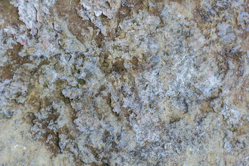 Natural stone texture background. Limestone. Rock formation.