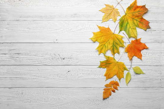 Autumn leaves on white wood background.