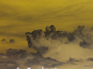 sky brown
