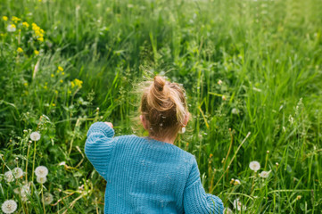 Fototapeta premium Little girl walk in grass on the meadow. Back view