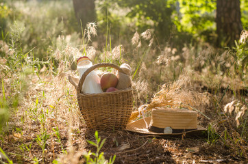 Farm milk and apples in a basket on the grass.
