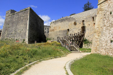 Fototapeta na wymiar montée au château