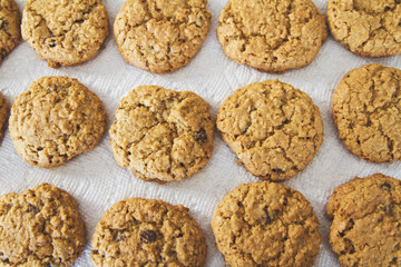Fresh warm homemade cookies cool right out of the oven; top down perspective of cookies arranged in rows