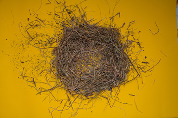 Top view of empty bird's nest isolated on yellow background