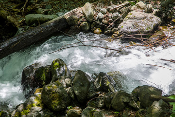 rushing water of mountainous creek