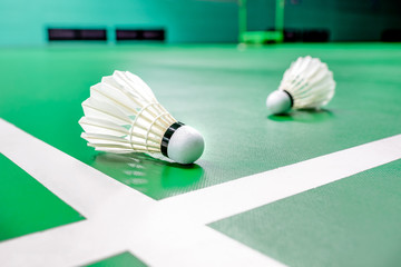 White badminton shuttlecock light shading with white line on a green floor at indoor badminton court.