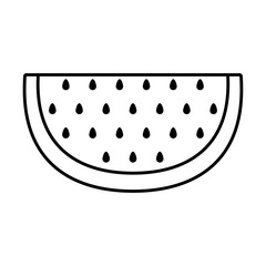 fresh slice of watermelon fruit