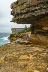 hikink in the royal national park, eaglehead rock, australia 20