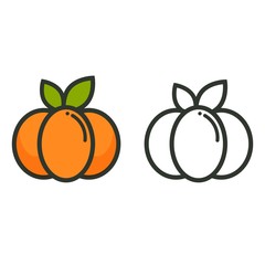 cartoon pumpkin vector image outline and colored with leaves