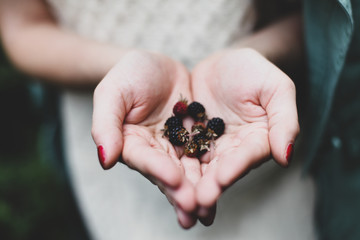 Hands with wild berries