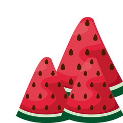 fresh slices of watermelons fruits