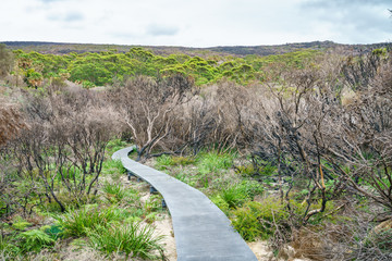 hikink the royal national park coast track, new south wales near sydney, australia 17
