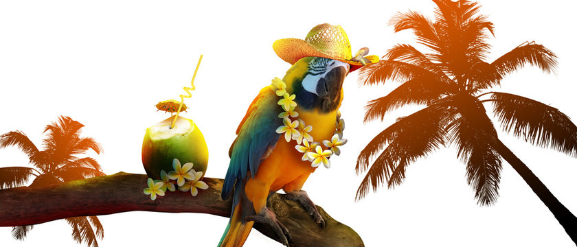 Papagei mit Cocktail im Urlaub am Strand