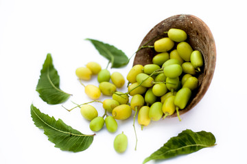 Neem fruit or nim fruit or Indian lilac fruit in a clay bowl isolated on white along with some fresh leaves also.Horizontal shot.