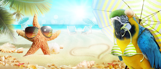 Papagei im Urlaub am Strand