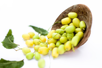 Neem fruit or nim fruit or Indian lilac fruit in a clay bowl isolated on white along with some fresh leaves also.Horizontal shot.