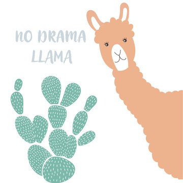 Animal llama with green cactus. Vector illustration in simple style.