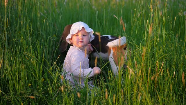Young baby sitting in tall grass, dog stay near. Little girl look back, then turn and continue crawling and exploring nature. Soft evening light, warm summer time