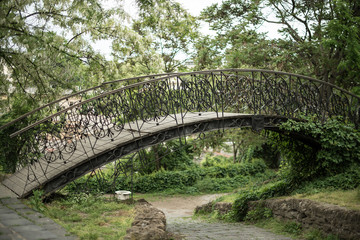 The old iron arch bridge in the park.
