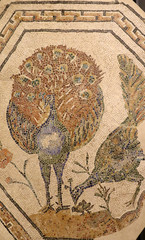 Colourful visions of ancient Rome. Polychrome Roman Mosaics from Bulgaria