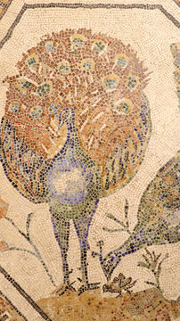 Colourful visions of ancient Rome. Polychrome Roman Mosaics from Bulgaria