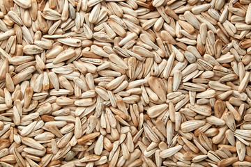 White sunflower seeds. White  sunflower seeds for texture or background. White  sunflower seeds macro close up